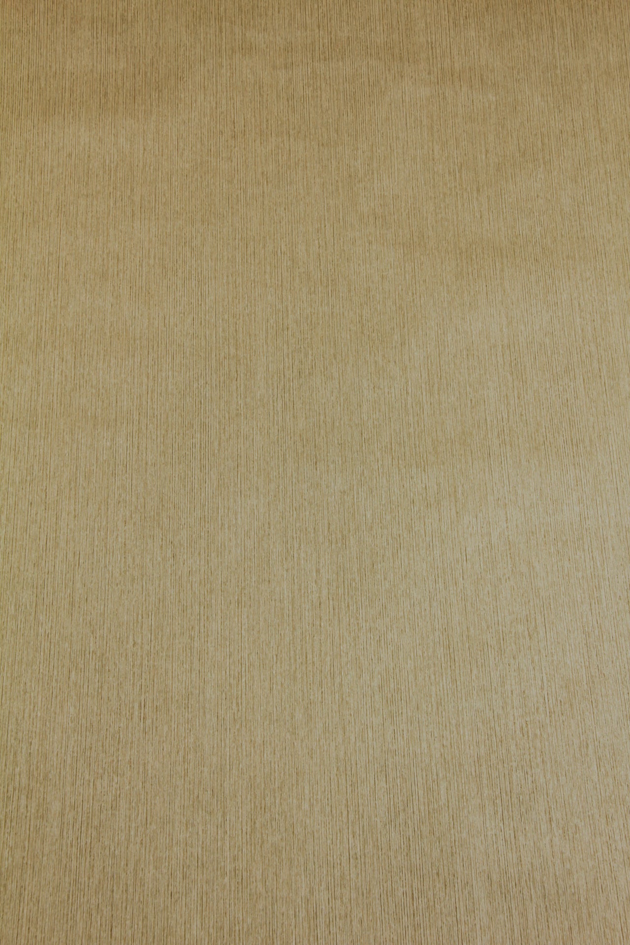 Тапет Vinyl BT 1008