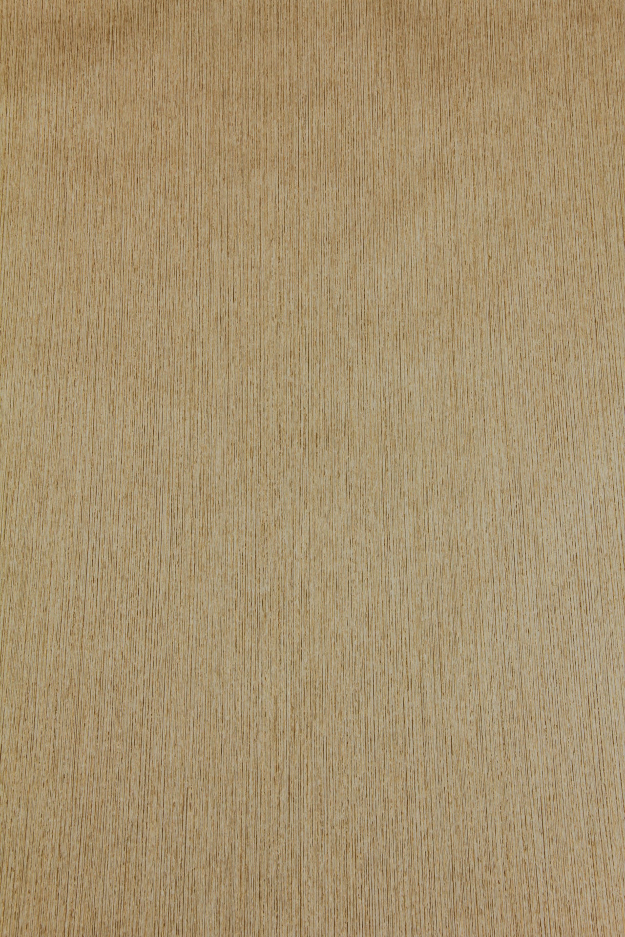 Тапет Vinyl BT 1009