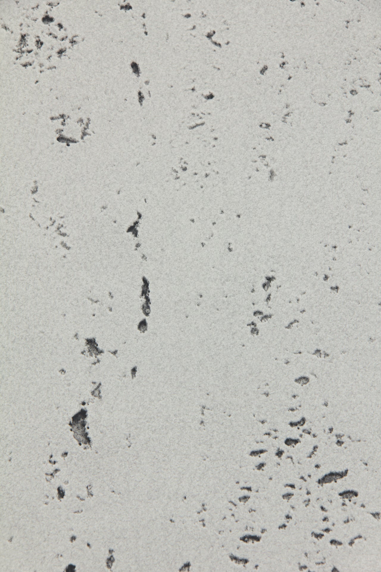 Тапет Vinyl 36470-2