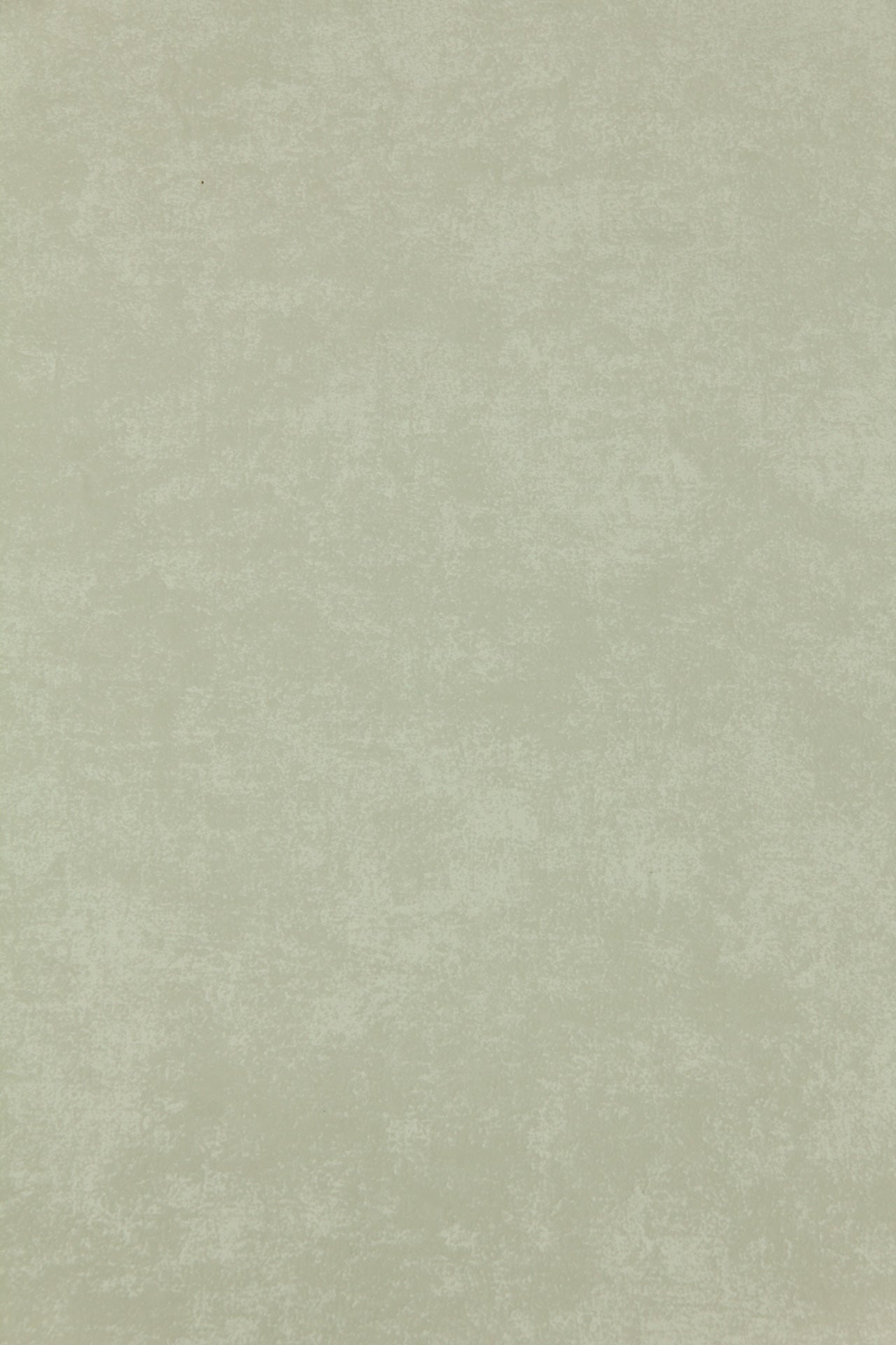 Тапет Vinyl 1160-55